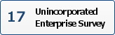 Unincorporated Enterprise Survey